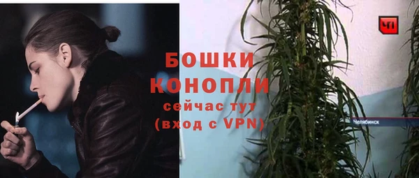 бошки Богородск