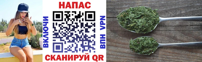 Бошки Шишки семена Ворсма